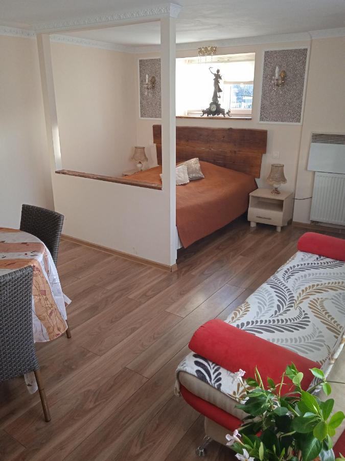 Zamek Ksiaz - 15 Minut 503-608-088 Apartment Stare Bogaczowice Bagian luar foto
